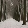 171210-PK-sneeuwval in Heeswijk- 9b 